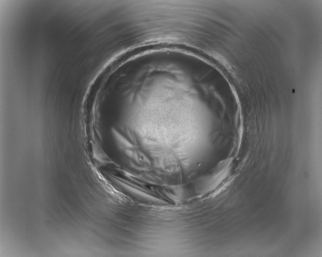 X0000071341118200607071651