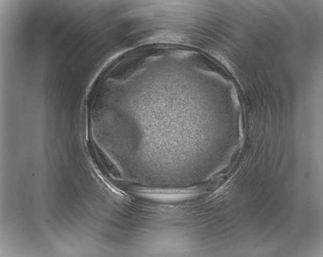 X0000071341123200607071651