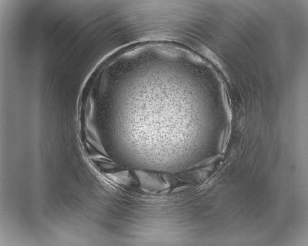 X0000071341124200607071651