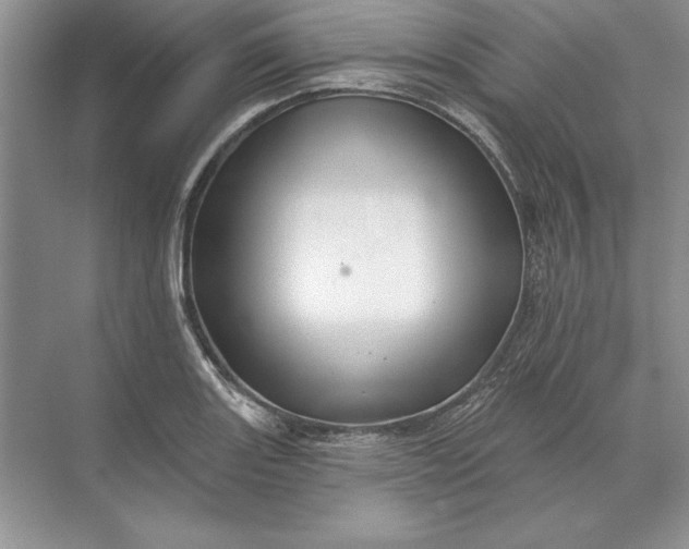 X0000071341131200607071651