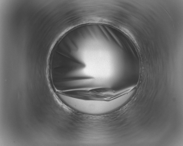 X0000071341136200607071651
