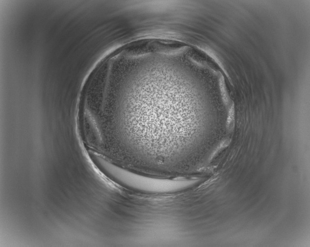 X0000071341139200607071651