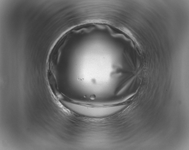 X0000071341140200607071651