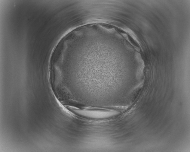 X0000071341143200607071651