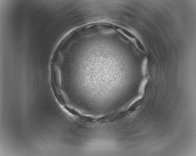 X0000071341151200607071651