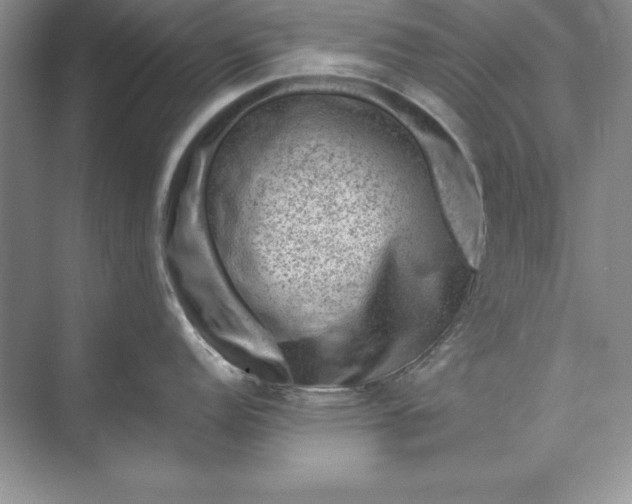 X0000071341152200607071651