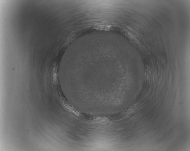 X0000071341154200607071651