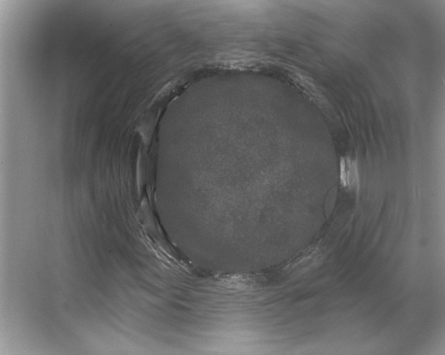 X0000071341155200607071651