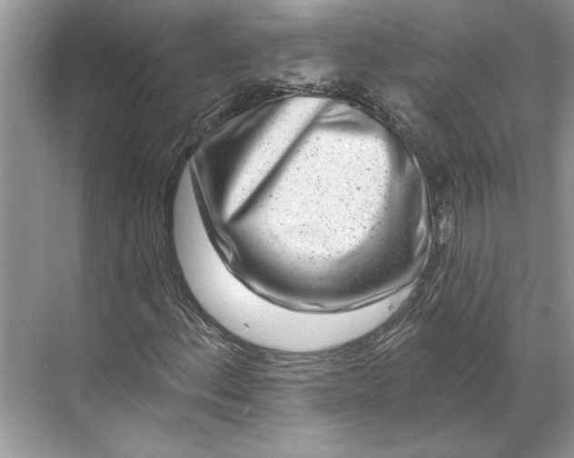 X0000071341156200607071651
