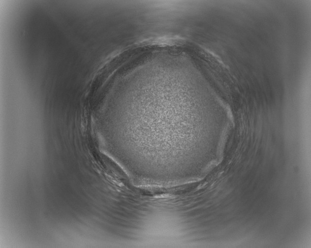X0000071341158200607071651