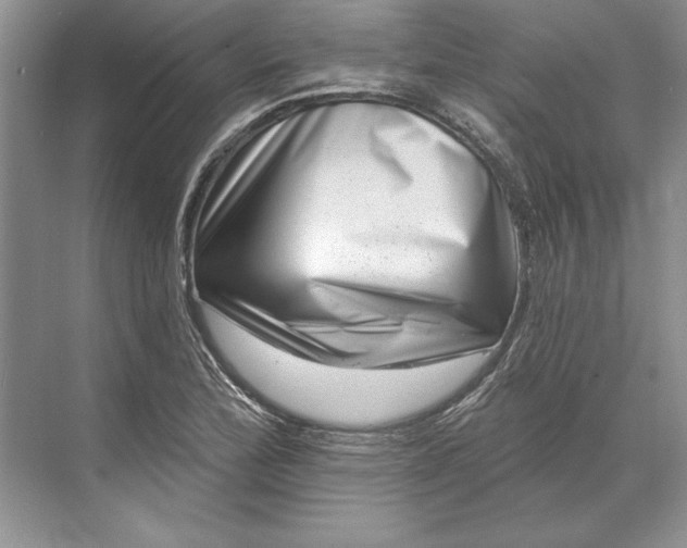X0000071341172200607071650