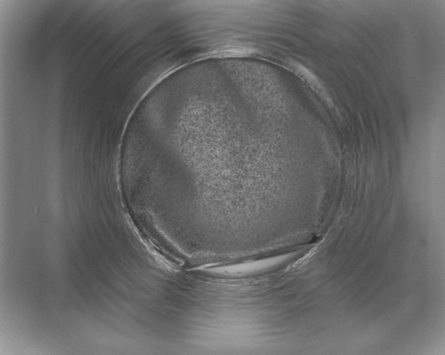 X0000071341186200607071650