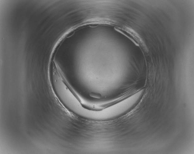 X0000071341188200607071650