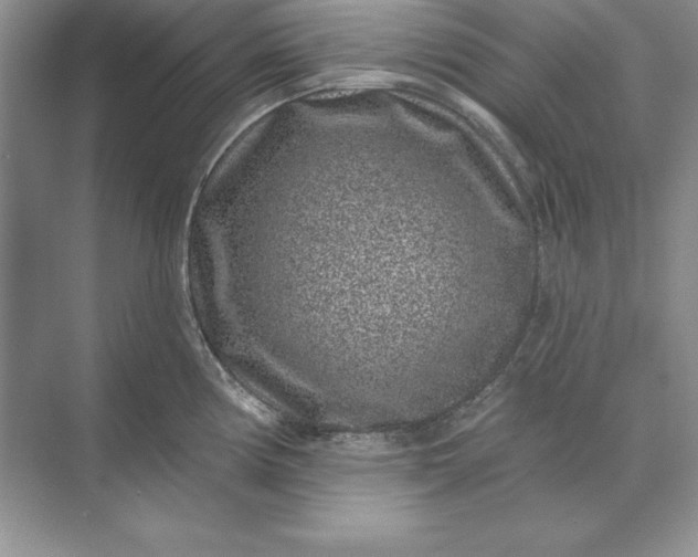 X0000071341194200607071650