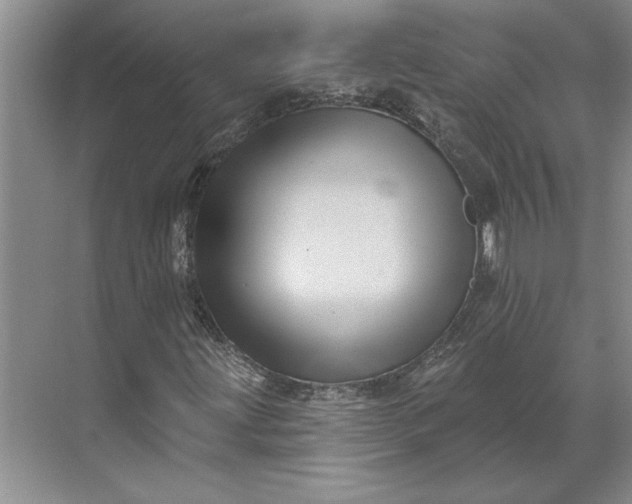X0000071341203200607071649