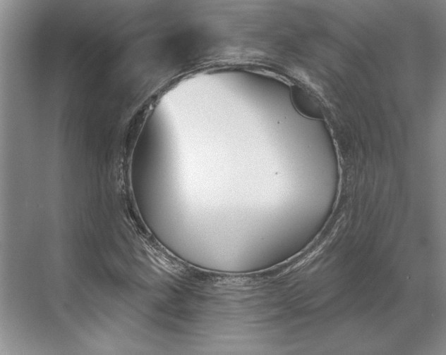 X0000071341211200607071649