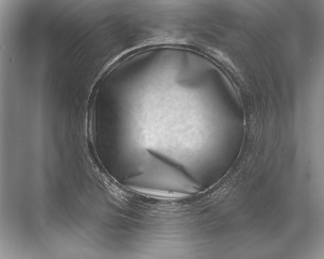 X0000071341220200607071649