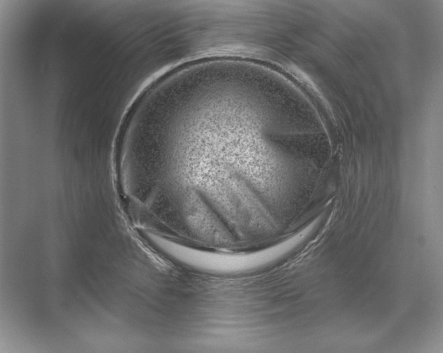X0000071341230200607071650