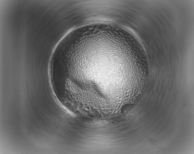X0000071341243200607071650