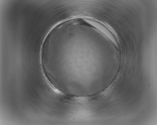 X0000071341246200607071650
