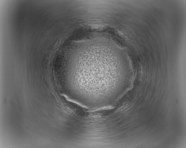 X0000071341249200607071649