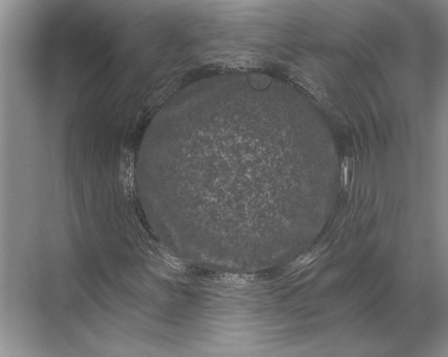 X0000071341251200607071649