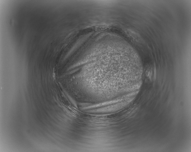X0000071341252200607071649