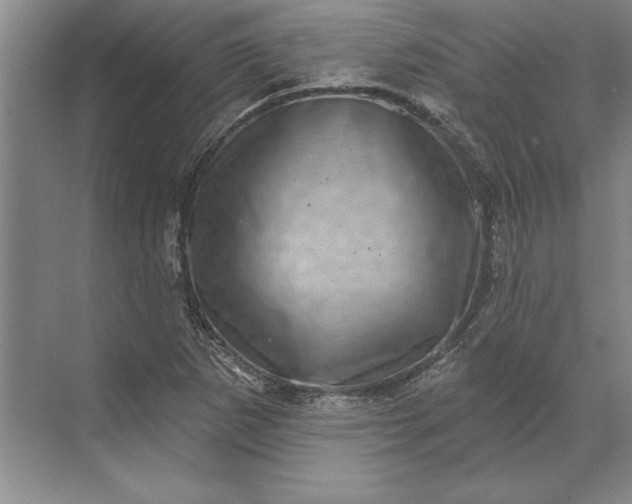 X0000071341265200607071649