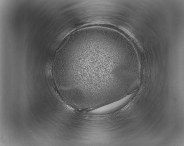 X0000071341273200607071649