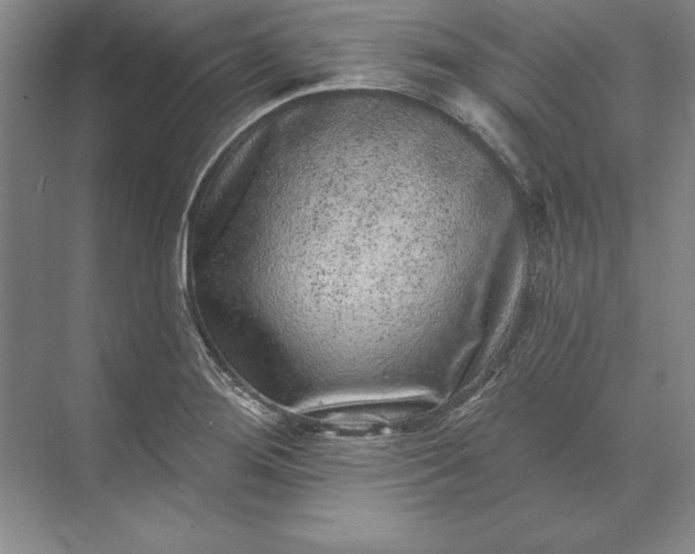 X0000071341276200607071649