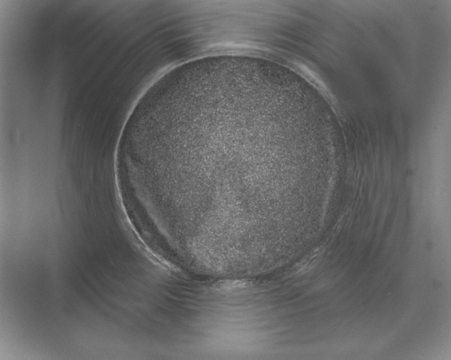 X0000071341283200607071648