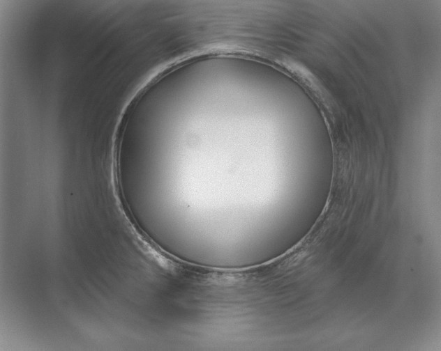 X0000071341286200607071648