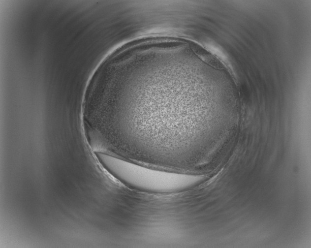 X0000071341288200607071648
