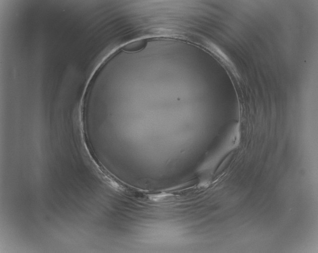 X0000071341291200607071648