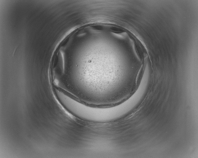 X0000071341293200607071648