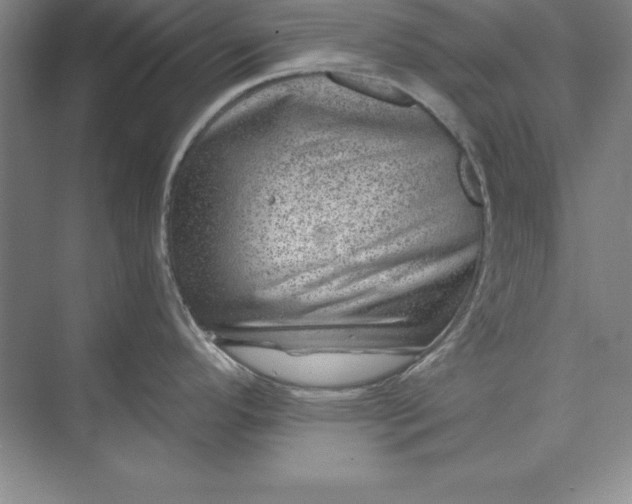 X0000071341296200607071648