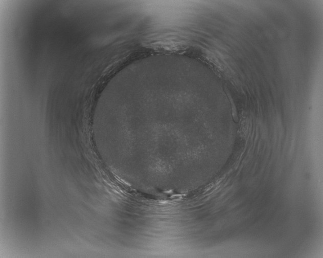 X0000071341297200607071647