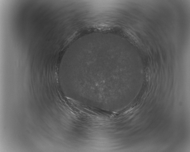 X0000071341298200607071647