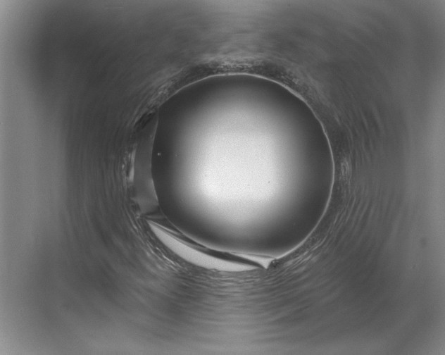X0000071341300200607071647