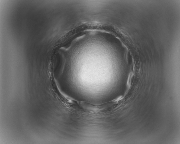 X0000071341301200607071648