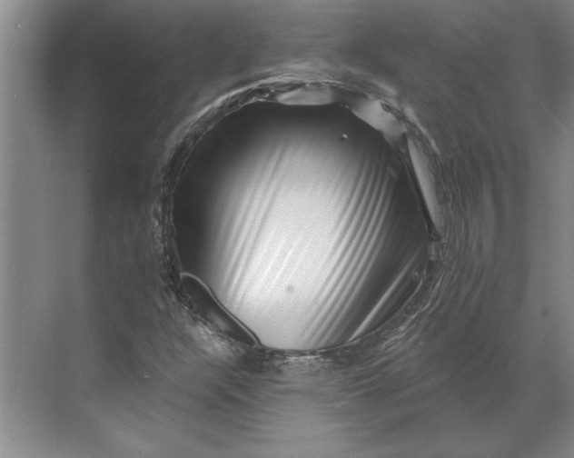 X0000071341304200607071648