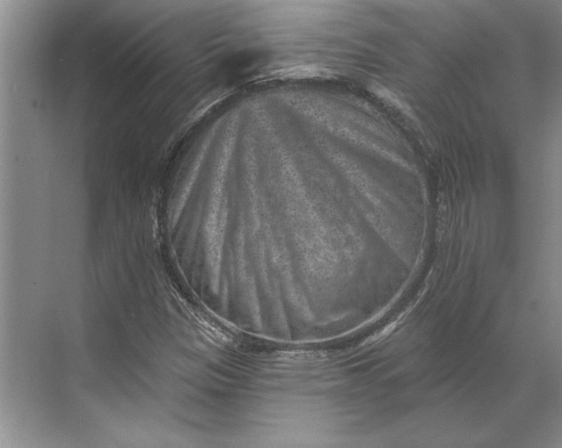 X0000071341305200607071648