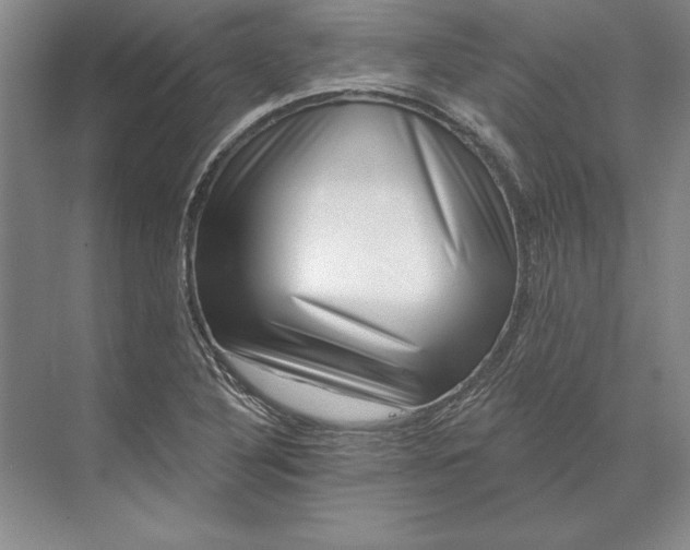X0000071341316200607071648