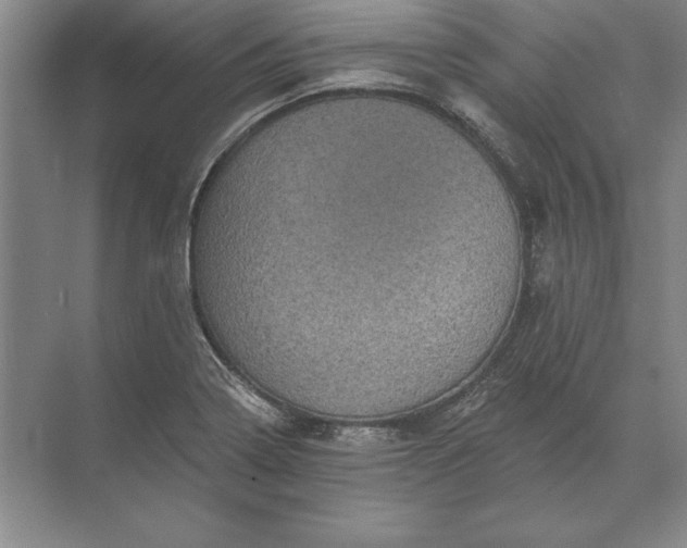 X0000071341322200607071648