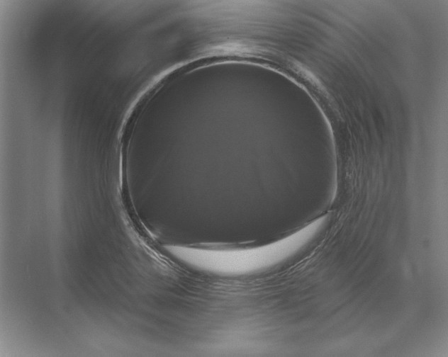 X0000071341323200607071648
