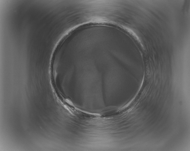 X0000071341327200607071648