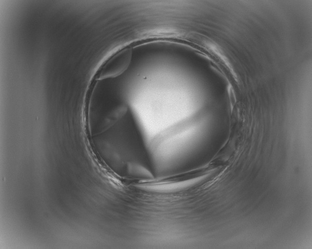 X0000071341328200607071648