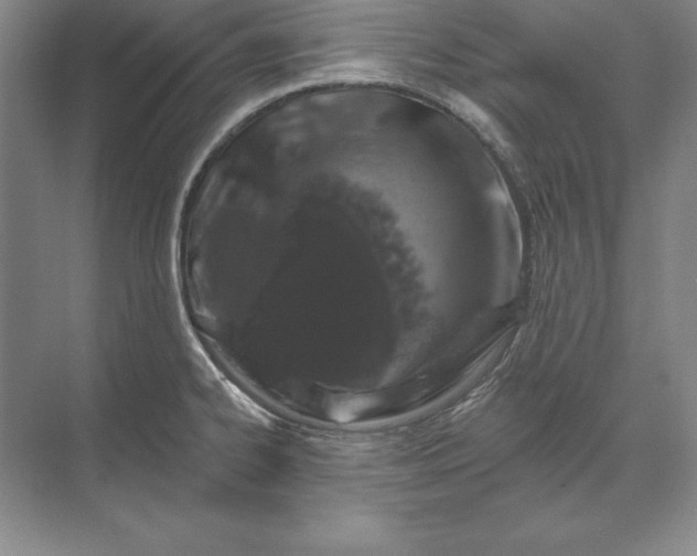 X0000071341334200607071648