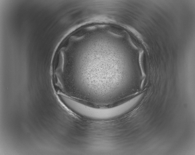 X0000071341335200607071648