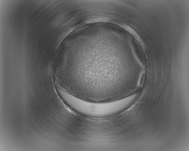 X0000071341337200607071648